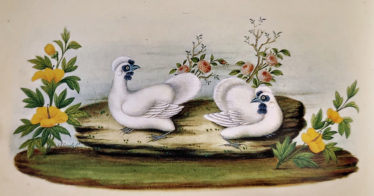 Juan José Cancela del Río. Eslabón Fundamental en la Pintura Gallega y el Arte de Galicia